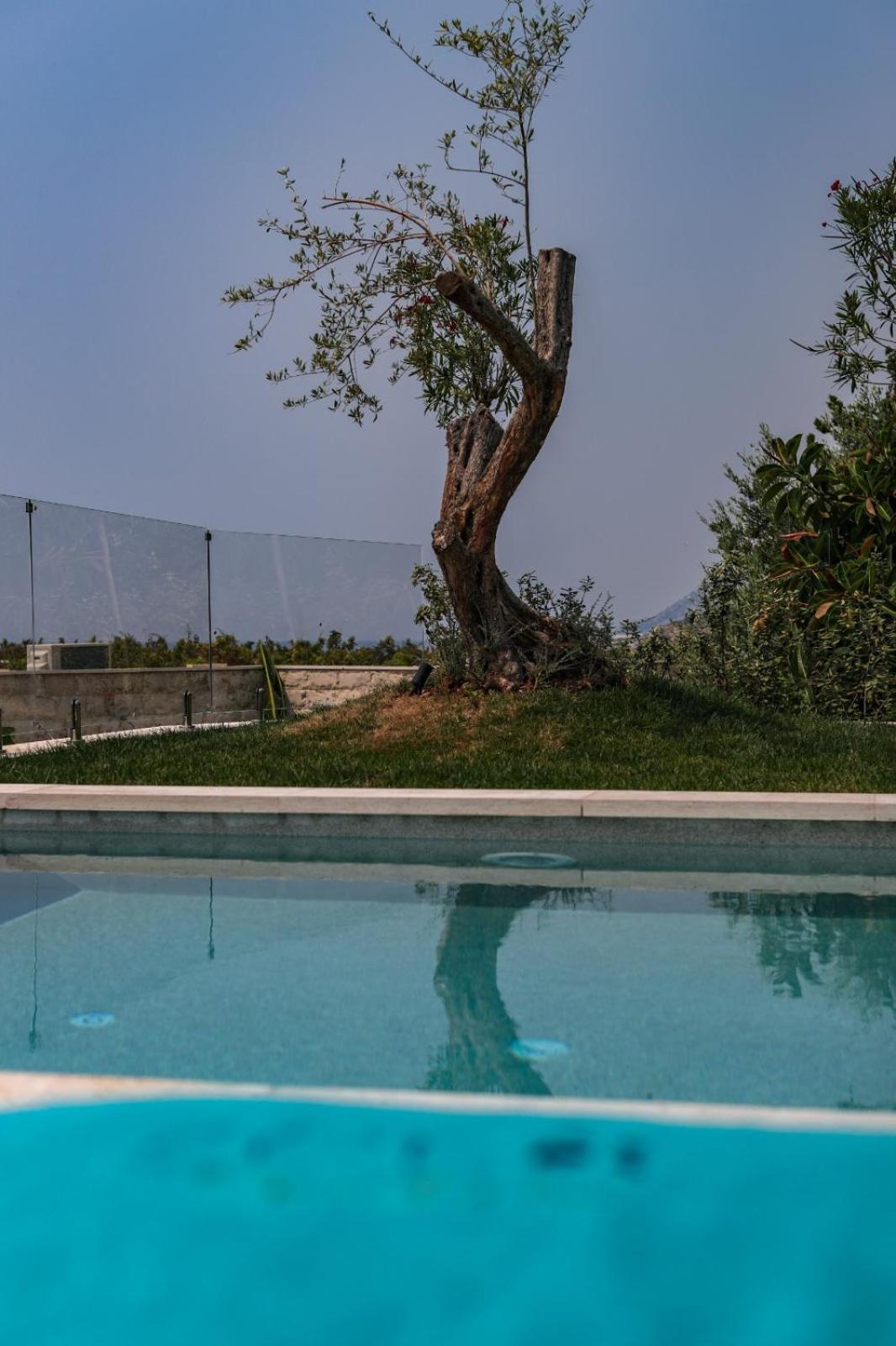 Drymades Inn Resort Dhërmi Kültér fotó